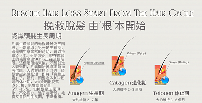挽救脫髮 由‘根’本開始