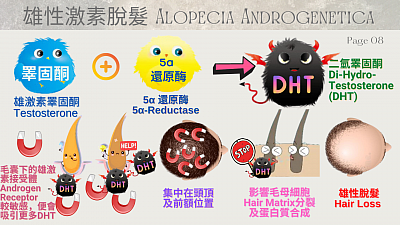 等我帶大家去了解清楚，原凶DHT 犯案過程